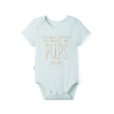 Going Home To Meet My Pups / Cats Embroidered Bamboo Onesie