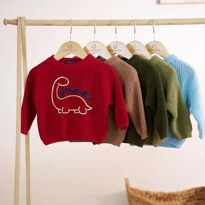Custom Hand Embroidered Dinosaur Baby Sweater